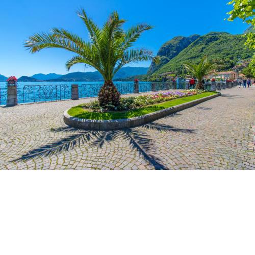Apartment delle Rose - Menaggio