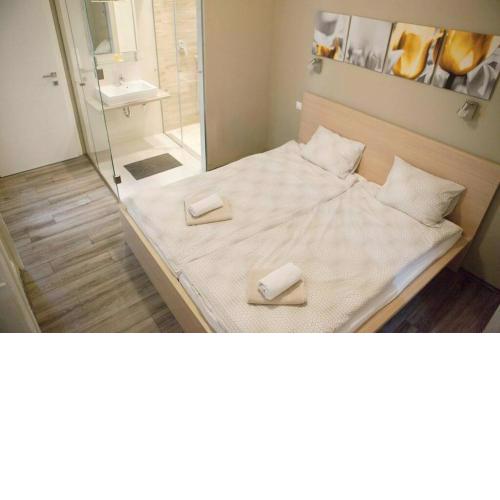 Apartment Downtown Regiposta 15