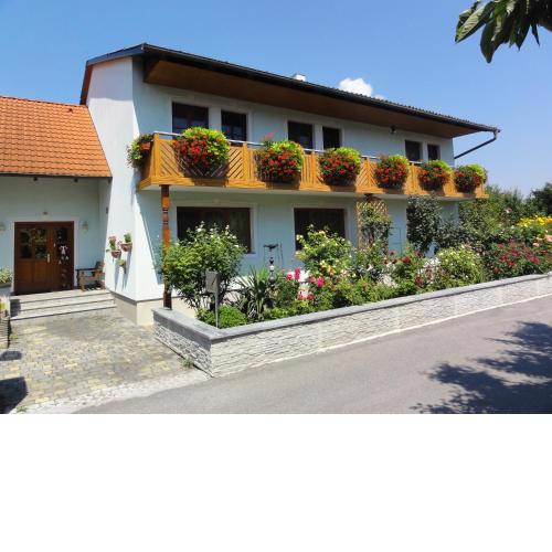 Apartment Elena