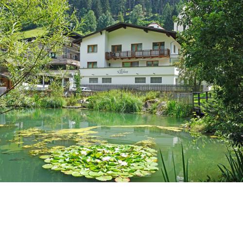 Apartment Hirsch