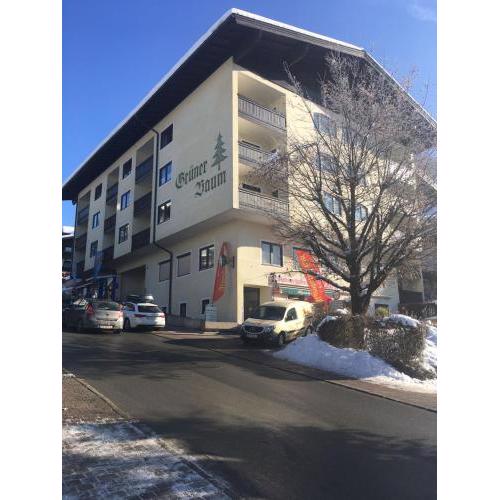 Apartment im Alpendorf