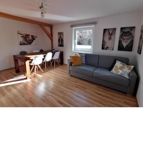 Apartment in Dienten with mountain view and HochkönigCard