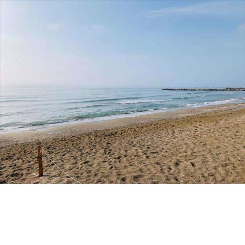 Apartment in Eraclea Mare 40811