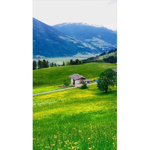 Apartment in Fügenberg/Zillertal 727