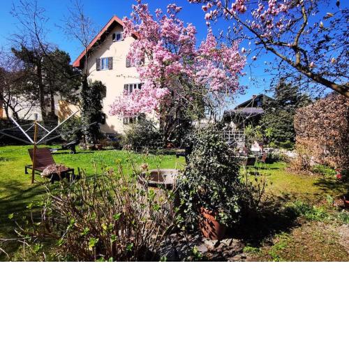Apartment in Hallein bei Salzburg, südlich von Salzburg Stadt - Salzburg Land, östlich von Berchtesgaden - Berchtesgadener Land, Beherbergungsbetrieb Objektcode 45