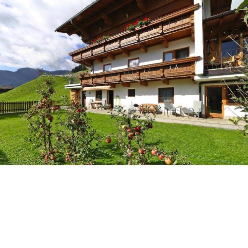 Apartment in Hippach im Zillertal with a garden