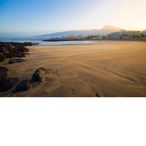 Apartment in Las Americas Playa de Troya