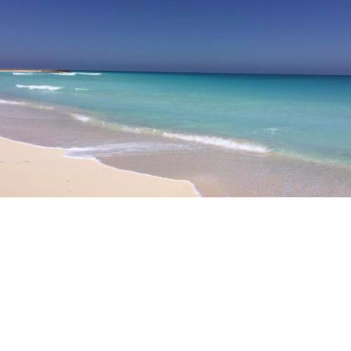 Apartment in Lazordy Bay