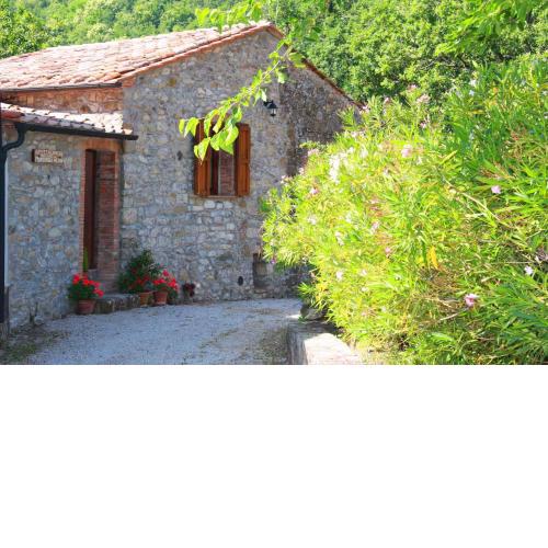 Apartment in Montieri/Toskana 38264