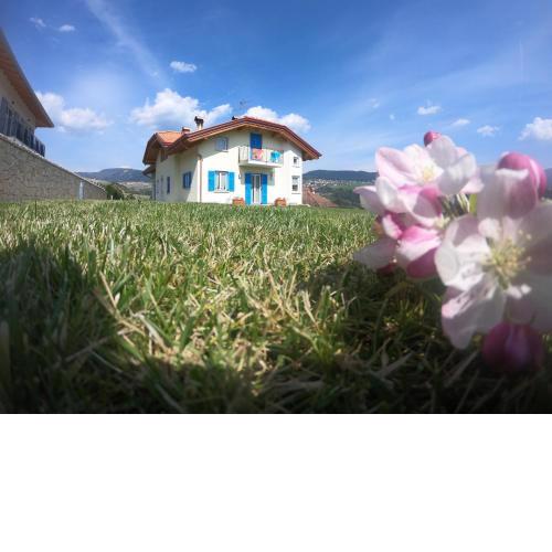 Apartment in NOVELLA 41460
