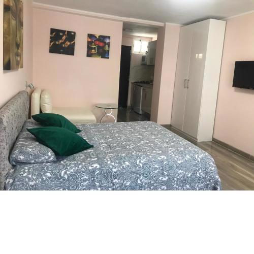 Apartment in Olympia