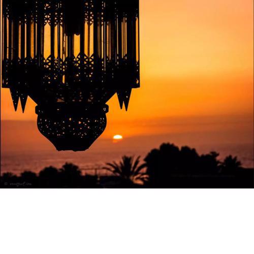 Apartment in Playa de las Americas 1