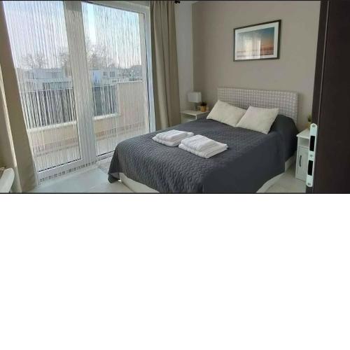 Apartment in Zamardi - Balaton 44084