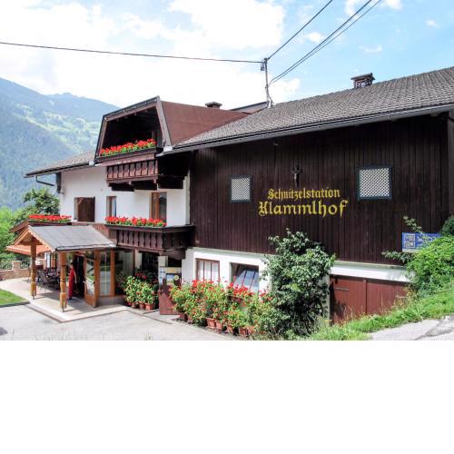 Apartment Klammlhof - ZAZ307