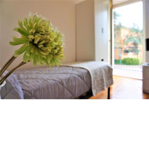 Apartment La Coccinella