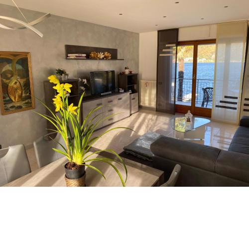 apartment Lac Brusimpiano