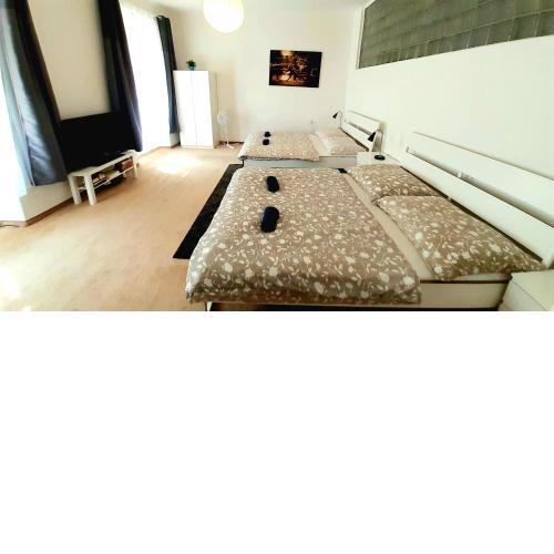 Apartment Lea - Old Town