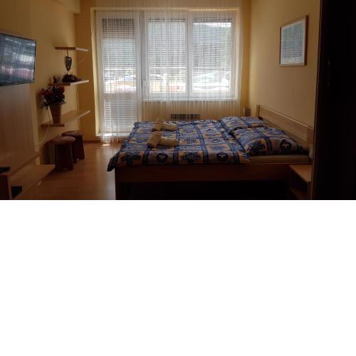 Apartment Magura