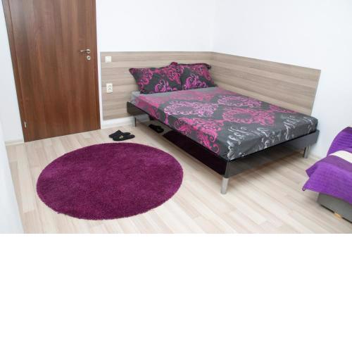 Apartment Medical University