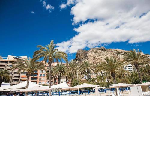 Apartment near the beach