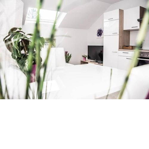 Apartment PourinGraz für Kunst- und Tennisliebhaber