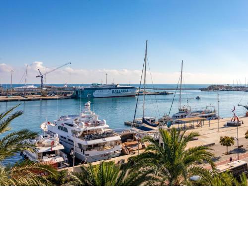 Apartment Puerto Denia