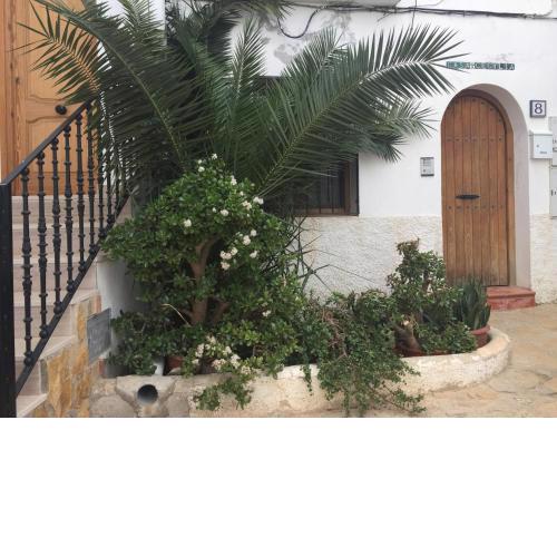 Apartment Rincón