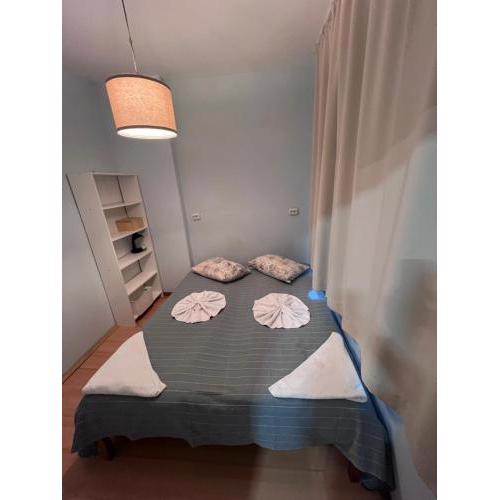 Apartment Saborni