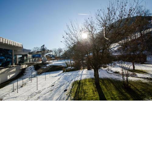 Apartment Ski in/Ski out CityXpress Zell am See