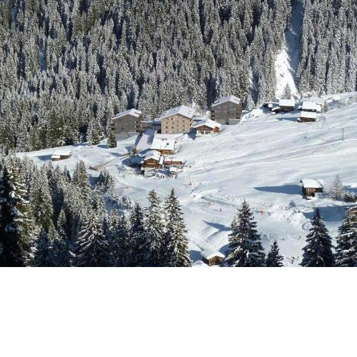 Apartment Typ E F im Alpin Resort