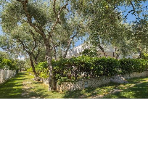 Apartment ulivo with pool and private beach