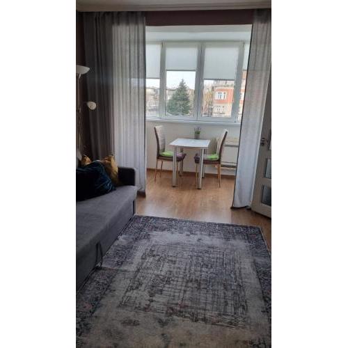 Apartment Violet