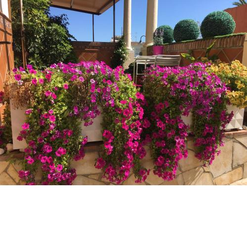 Apartment with private patio