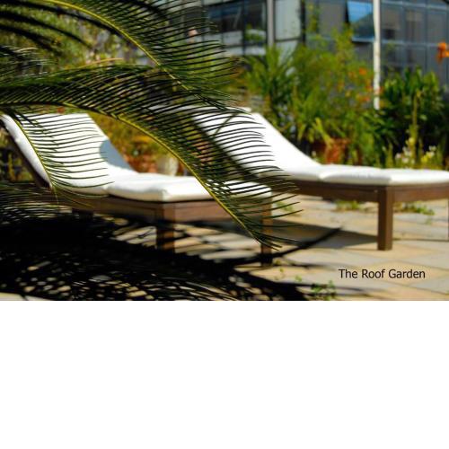 Apartment with Roof Garden-American Embassy Area-Fast Internet