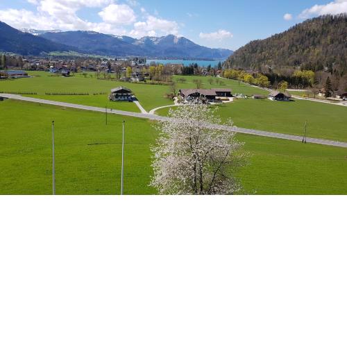 Apartment Wolfgangsee