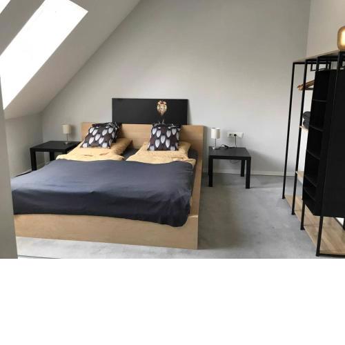 Apartment Zebra