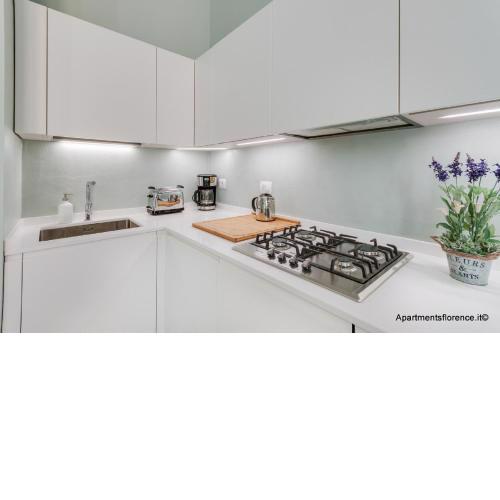 Apartments Florence-Taddea Terrace