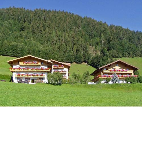 Apartments in Flachau - Salzburger Land 35292