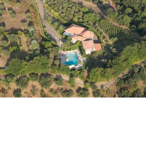 Apartments in Laureana Cilento 33823