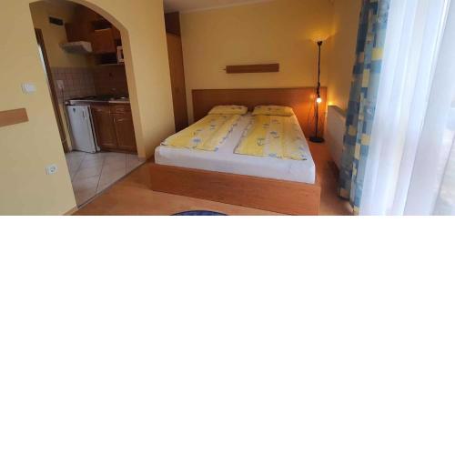 Apartments in Siofok - Balaton 43966