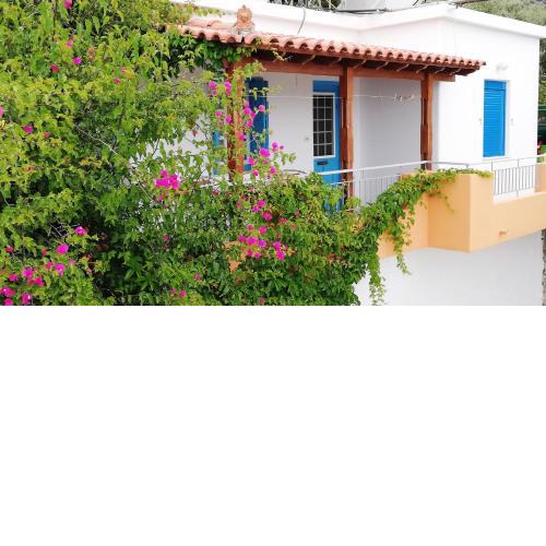 Apartments Jota