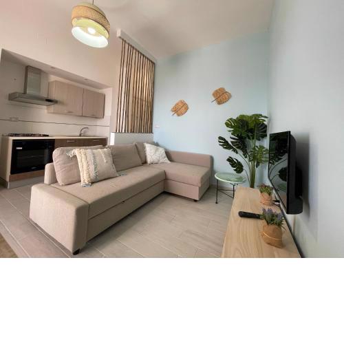 Apartments Punta Grossa