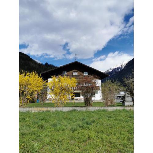 Apartments Steger