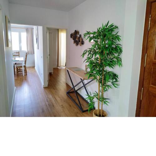 Apartments Vegueta Suite