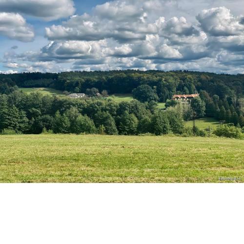 Apát Panzió és Étterem