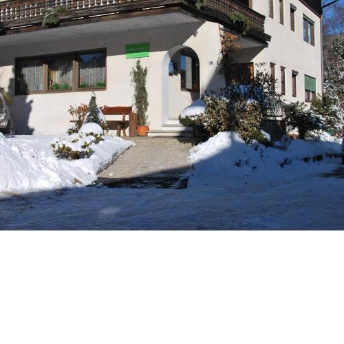 App. Brunner
