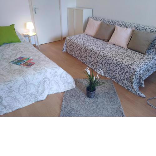 App. Castel Gatto
