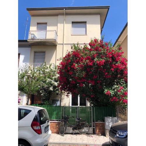 App. piano terra con giardinetto e stabilimento balneare incluso