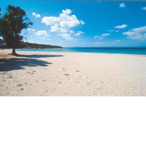 Appartamenti al mare