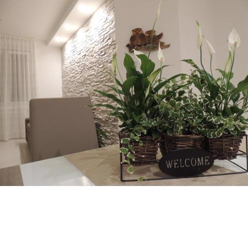 Appartamenti Casa Prandel